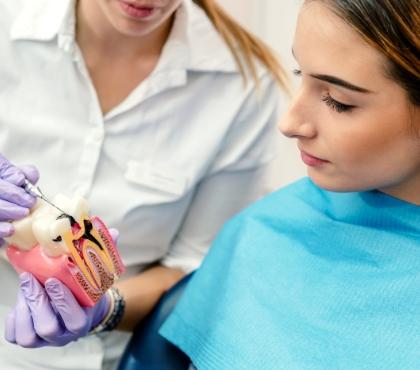Dentystka pokazująca strukturę zęba dla pacjentki